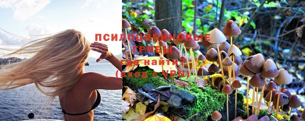 метадон Нефтекумск