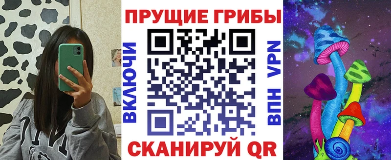 Псилоцибиновые грибы GOLDEN TEACHER  Стрежевой 
